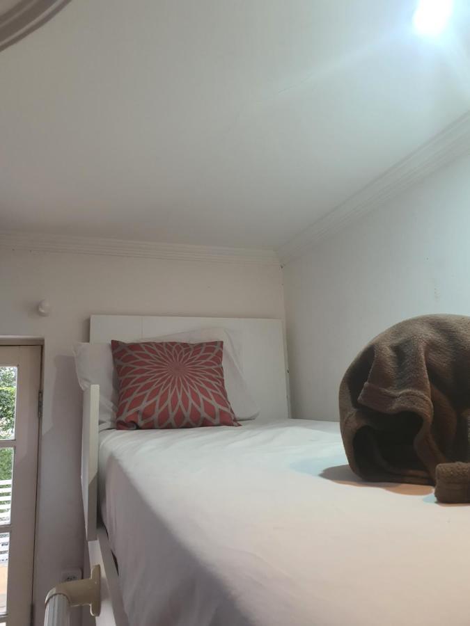 Villa Hostel Sp - Proximo Ao Allianz Parque E Paulista São Paulo Eksteriør bilde