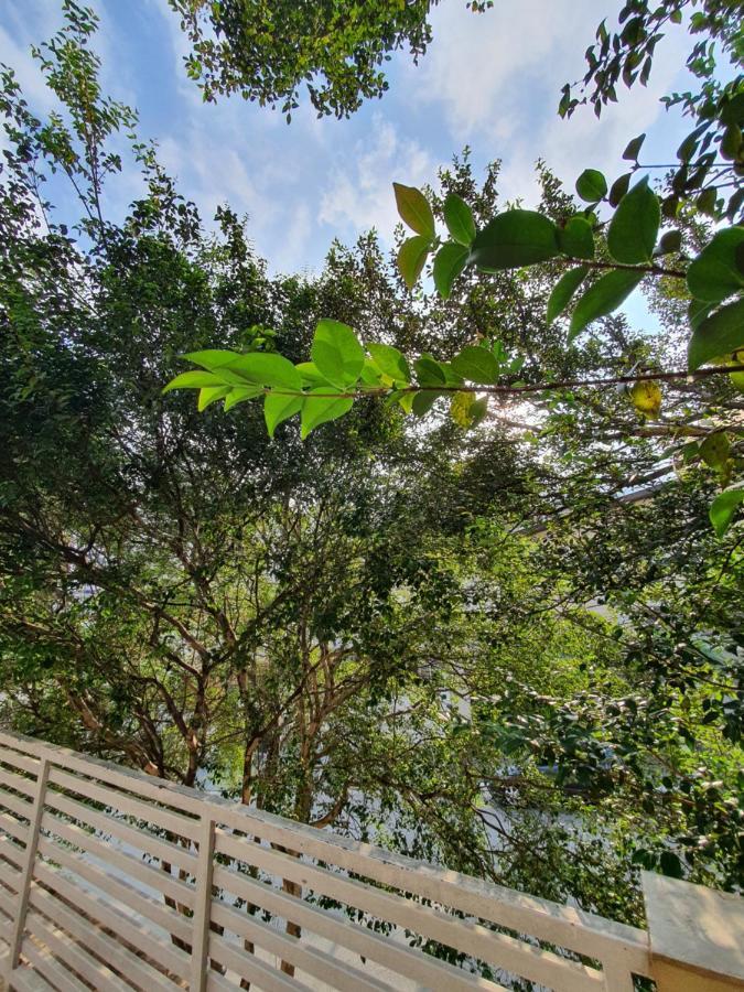 Villa Hostel Sp - Proximo Ao Allianz Parque E Paulista São Paulo Eksteriør bilde